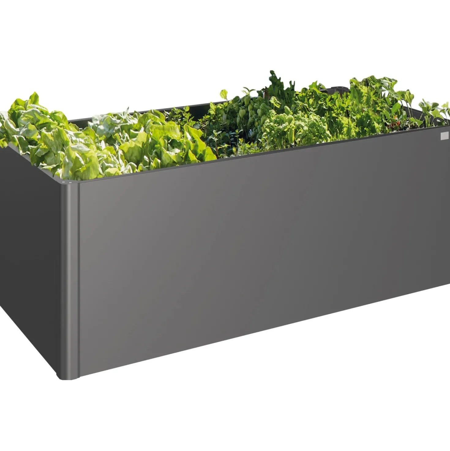 Aiuola rialzata Biohort Biohort 2x1 m