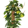 Bastone muschiato 150 cm Ø 50 mm