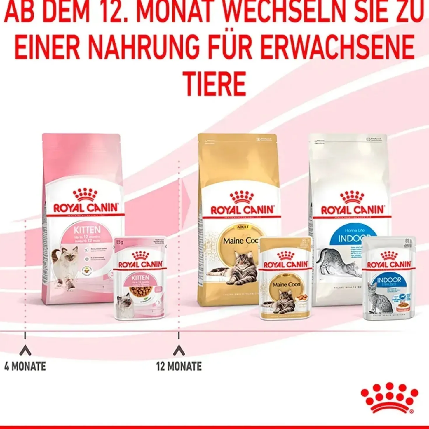 Cibo umido per gatti Royal Canin Kitten in salsa 85 gr