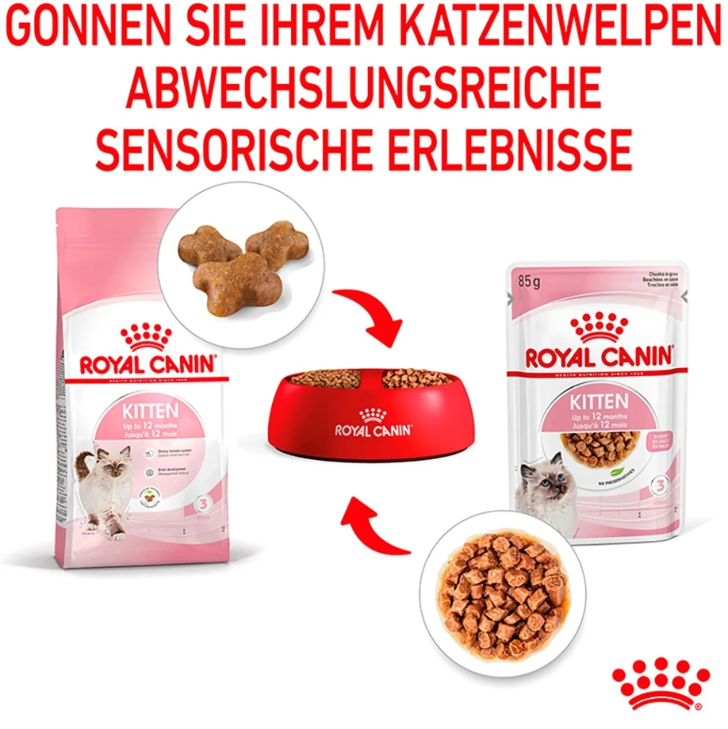 Cibo umido per gatti Royal Canin Kitten in salsa 85 gr