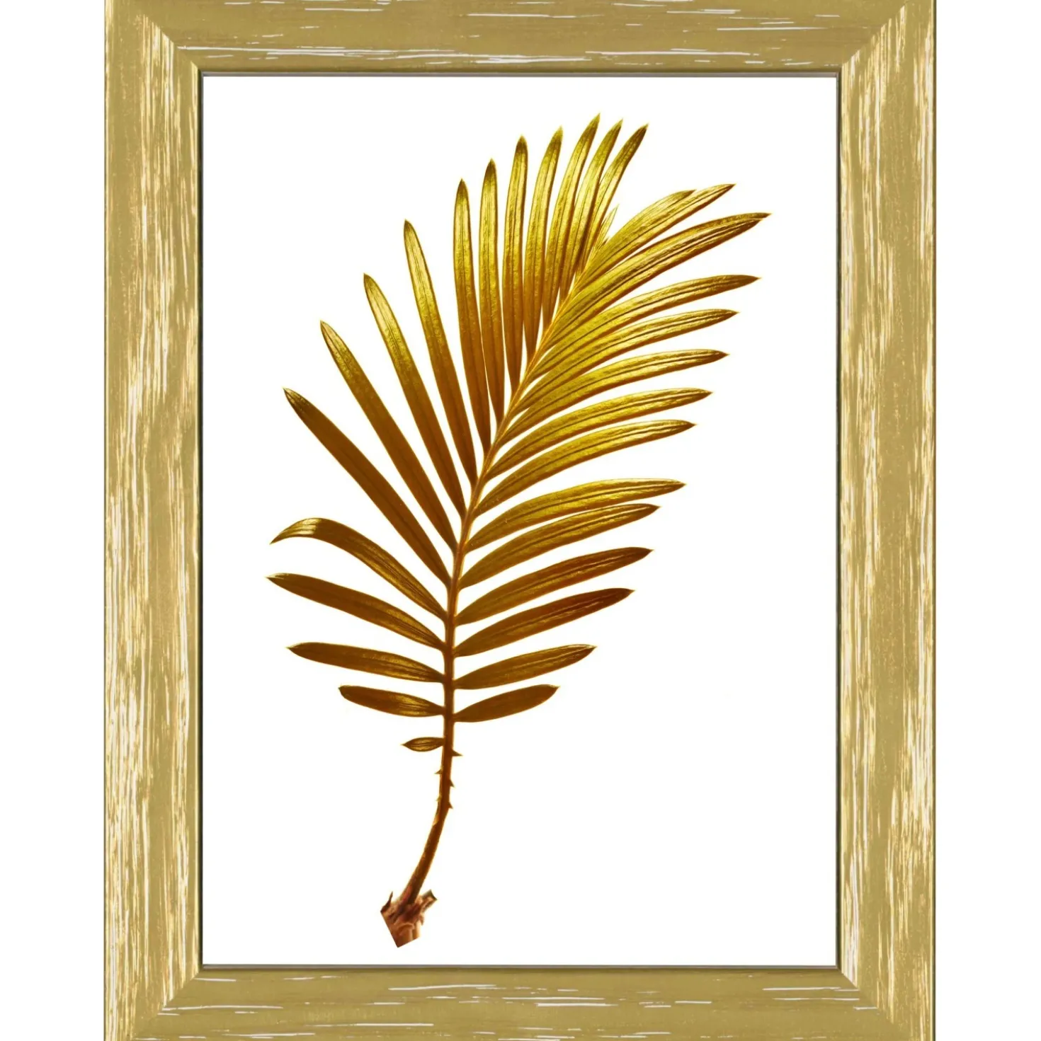 Cornice da muro Elegant Oro 50x70 cm