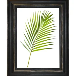 Cornice da muro Randu Nero 50x70 cm