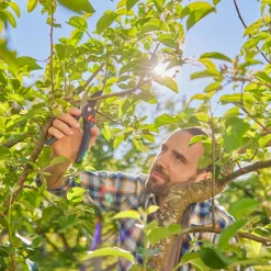Forbici da potatura a incudine Gardena PremiumCut Pro taglio fino Ø 24 mm