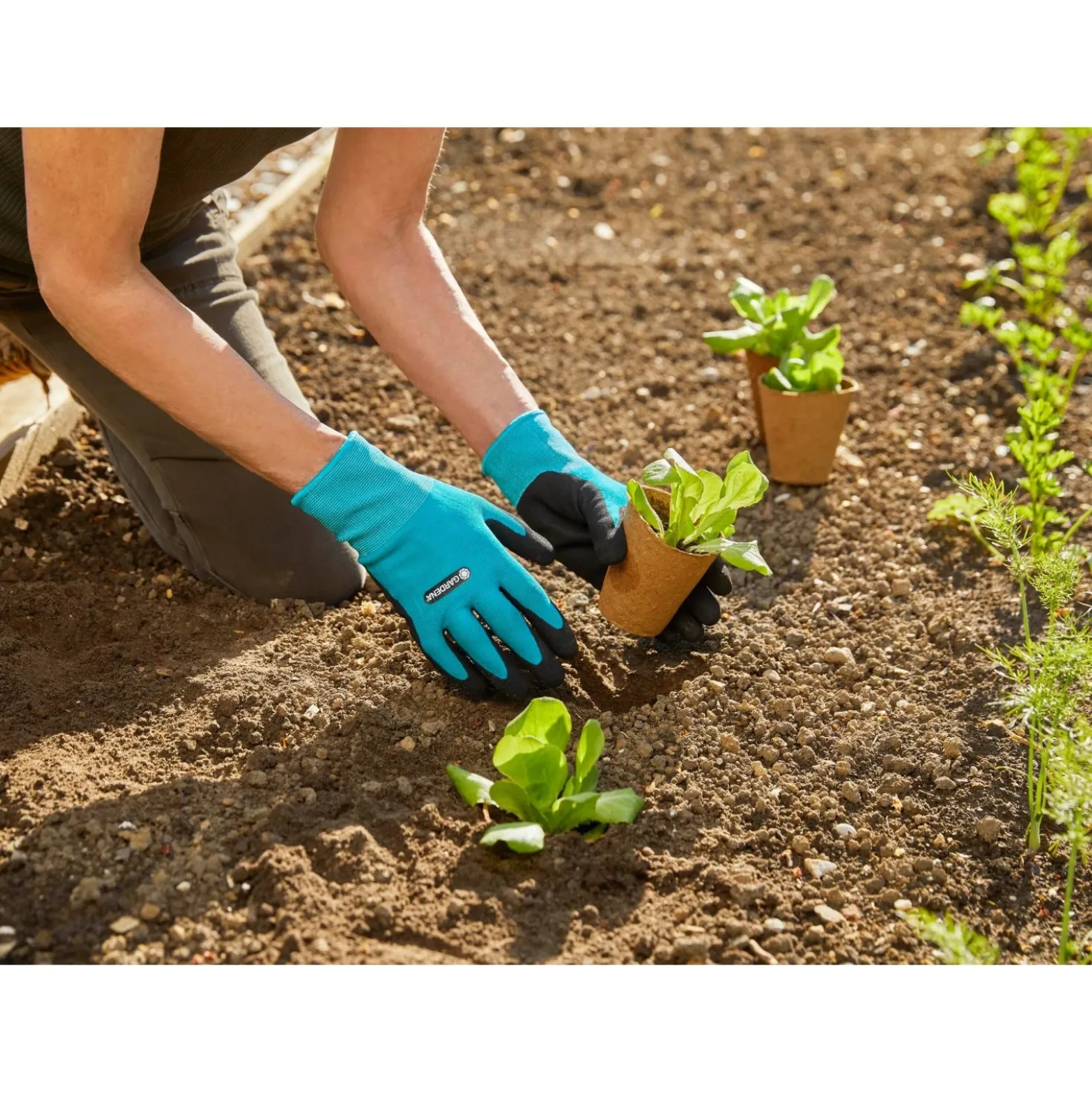 Guanti da giardinaggio Gardena 10 / XL