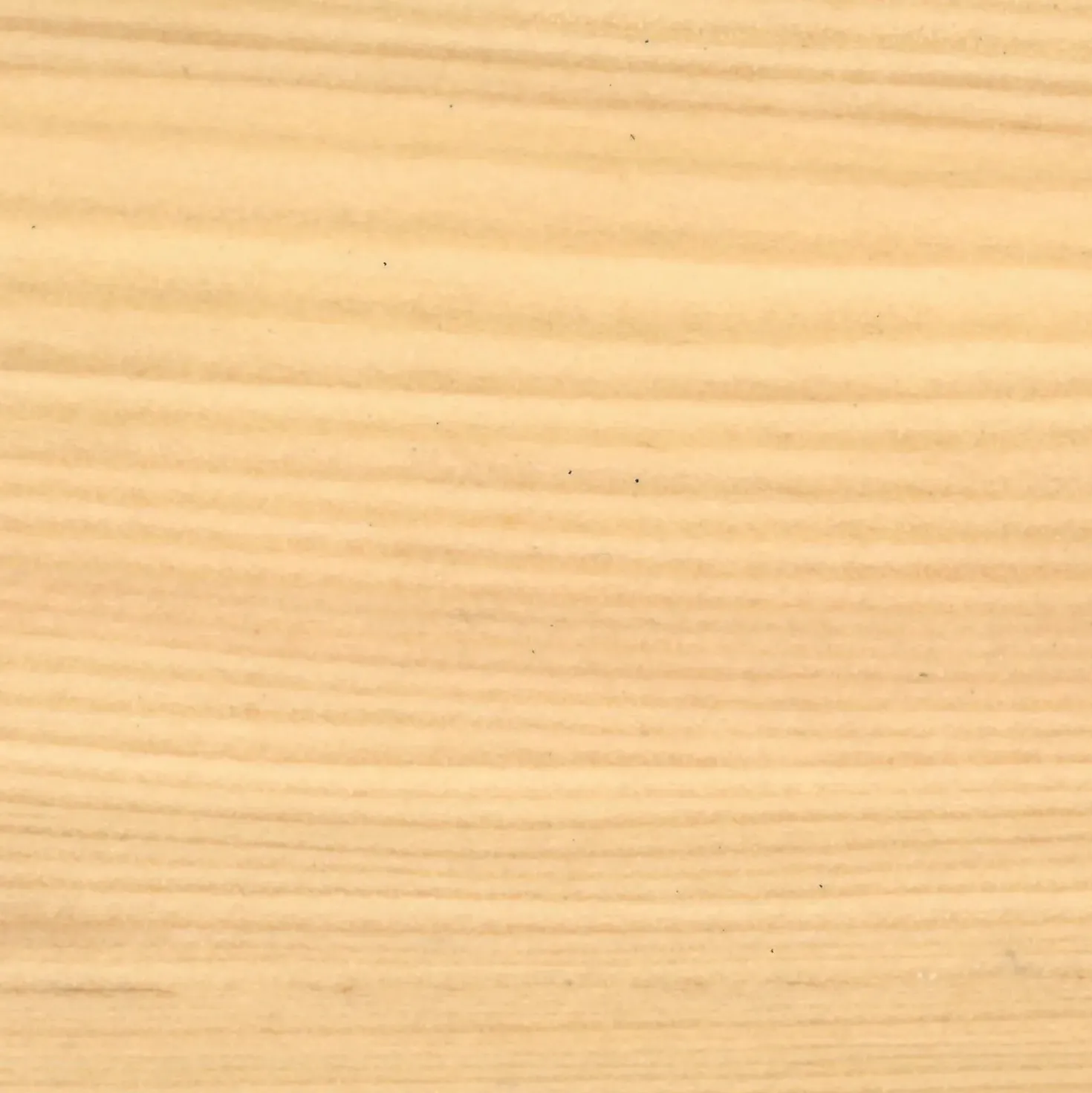 Impregnante per legno ad acqua Syntilor incolore 5 l