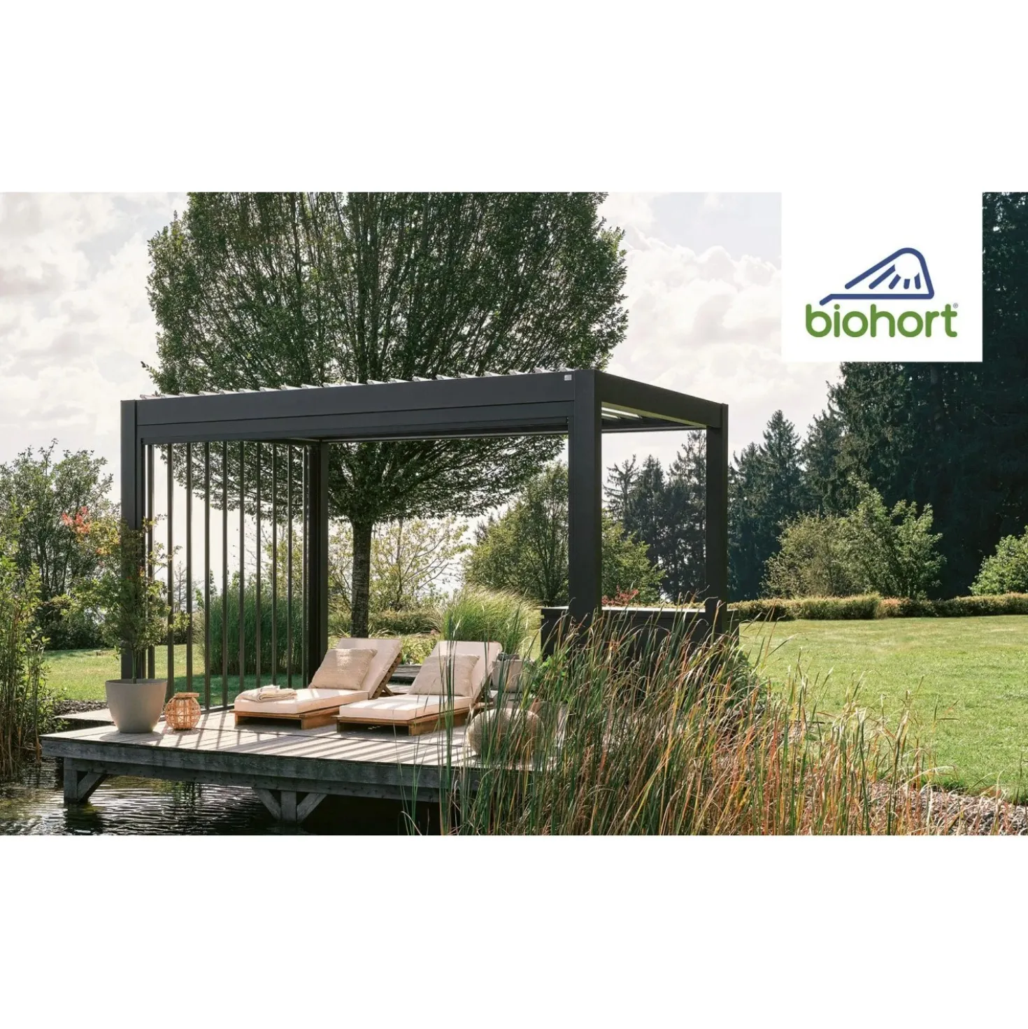 Pergola in metallo Biohort grigio scuro/argento 552,5x367,5x264 cm