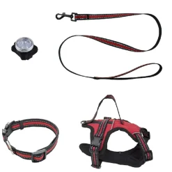 Pettorina flash per cane taglia grande kit