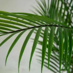 Pianta artificiale in plastica Kenzia h150 cm