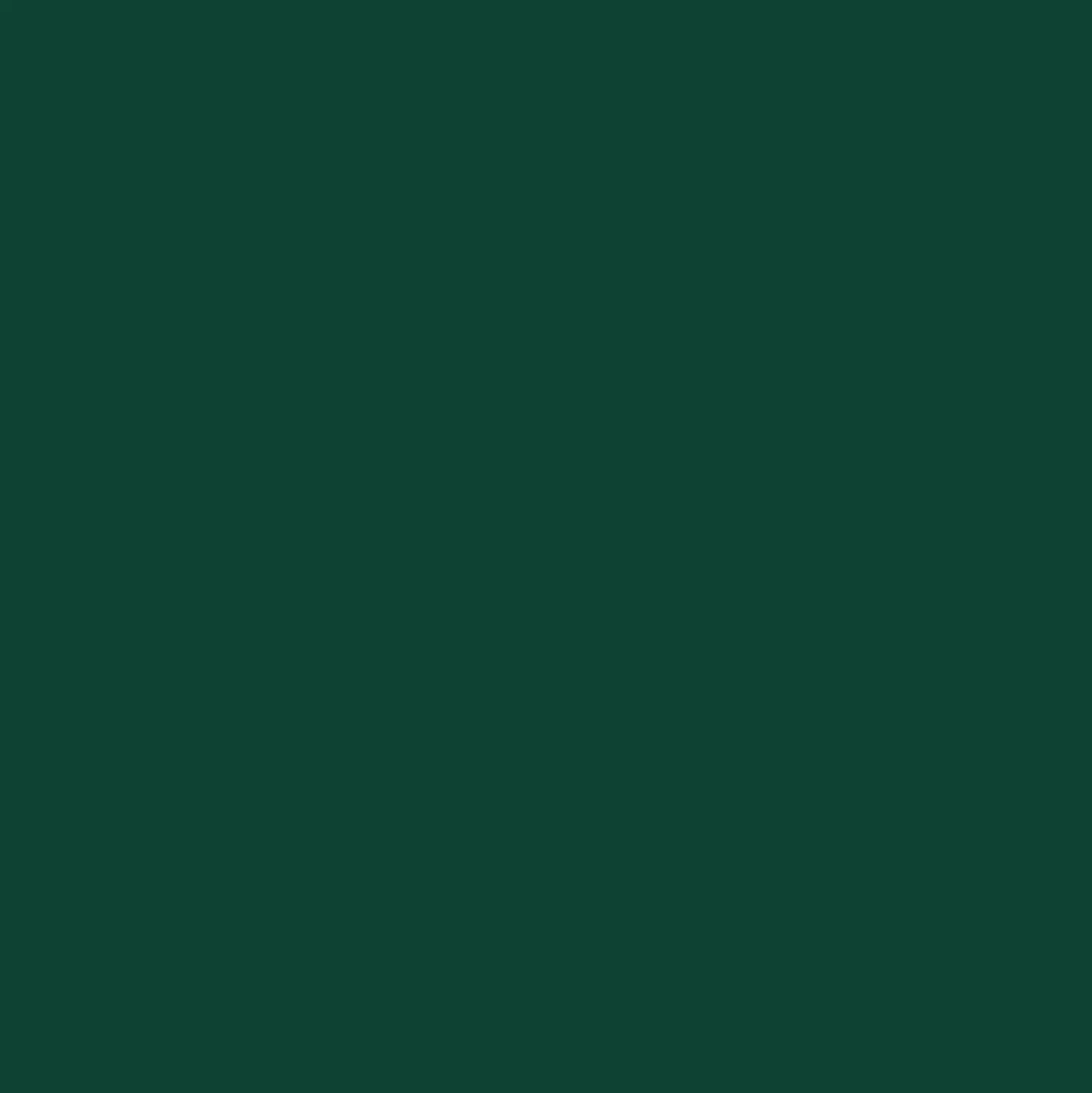 Smalto ad acqua brillante 2in1 OBI verde muschio 125 ml