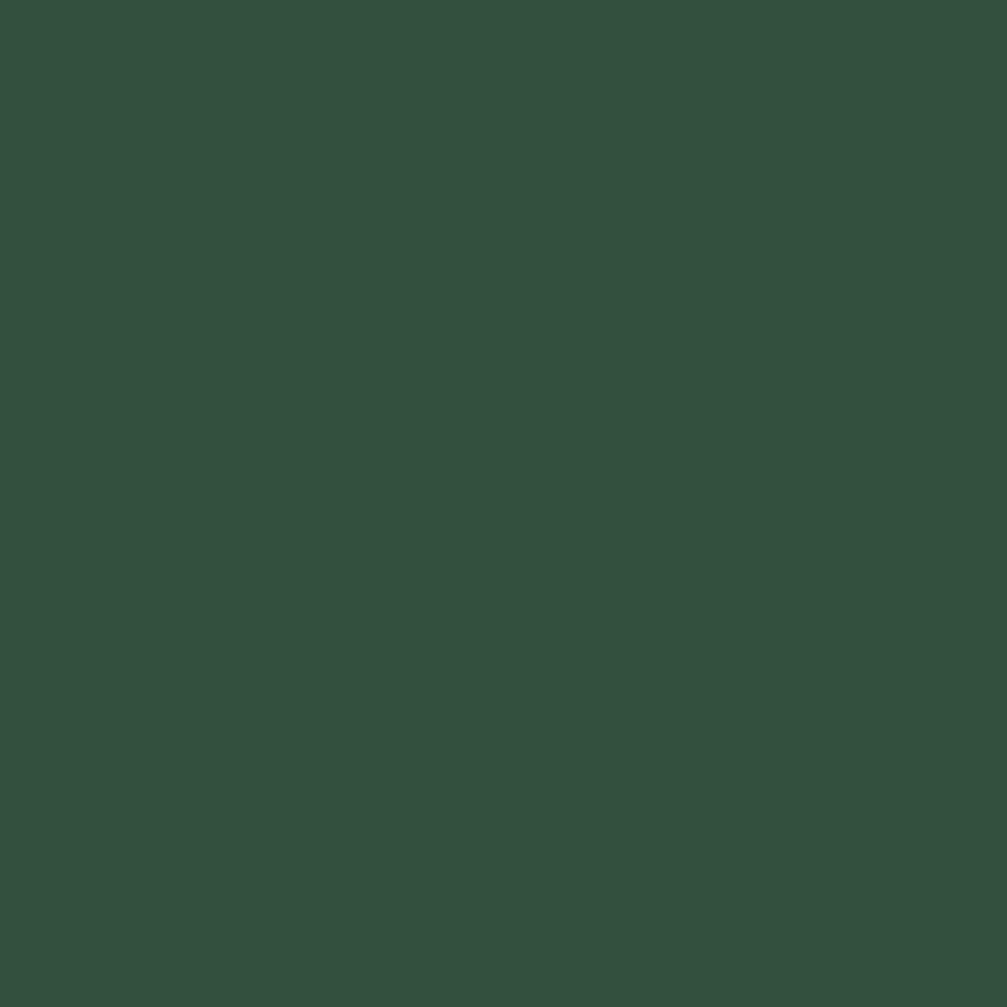 Smalto antiruggine brillante verde imperiale 500 ml Boero