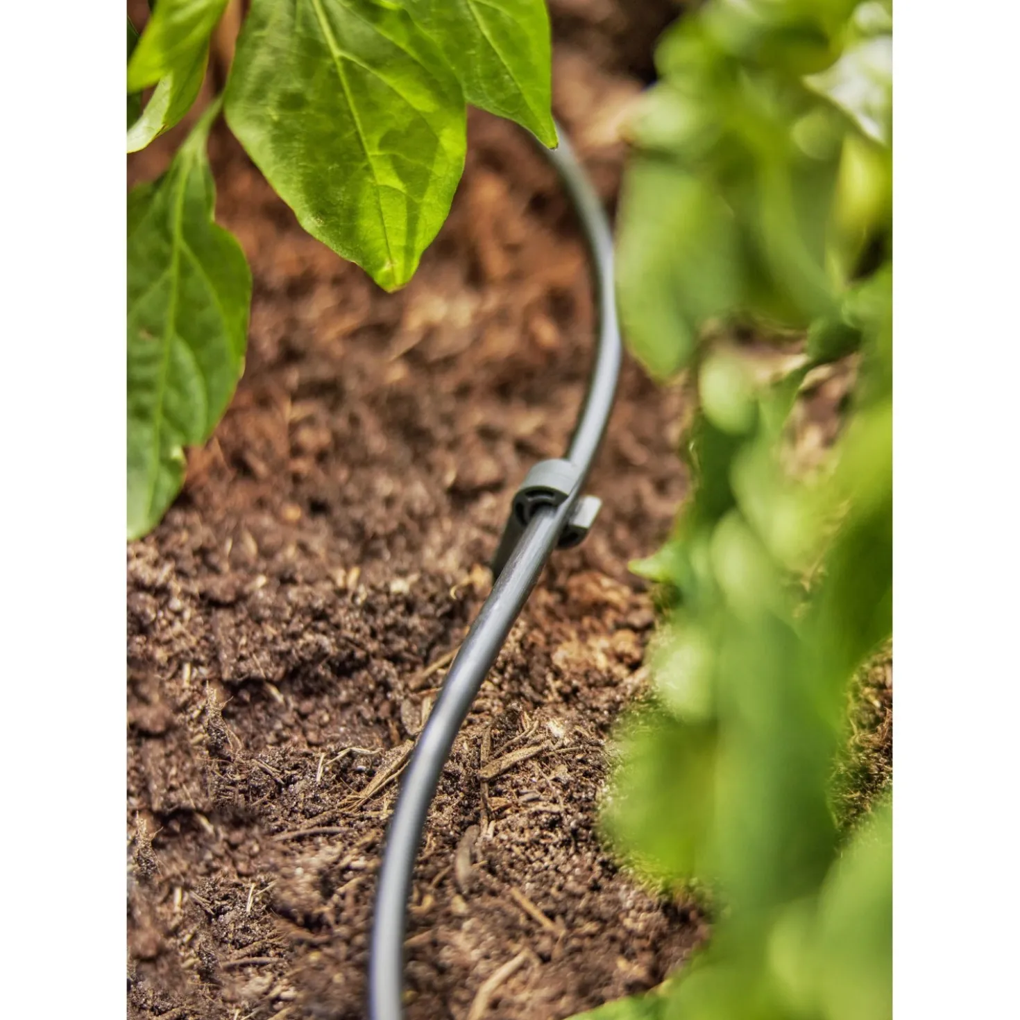 Tubo irrigazione di derivazione Micro-Drip-System Gardena 50 m 4,6 mm (3/16")
