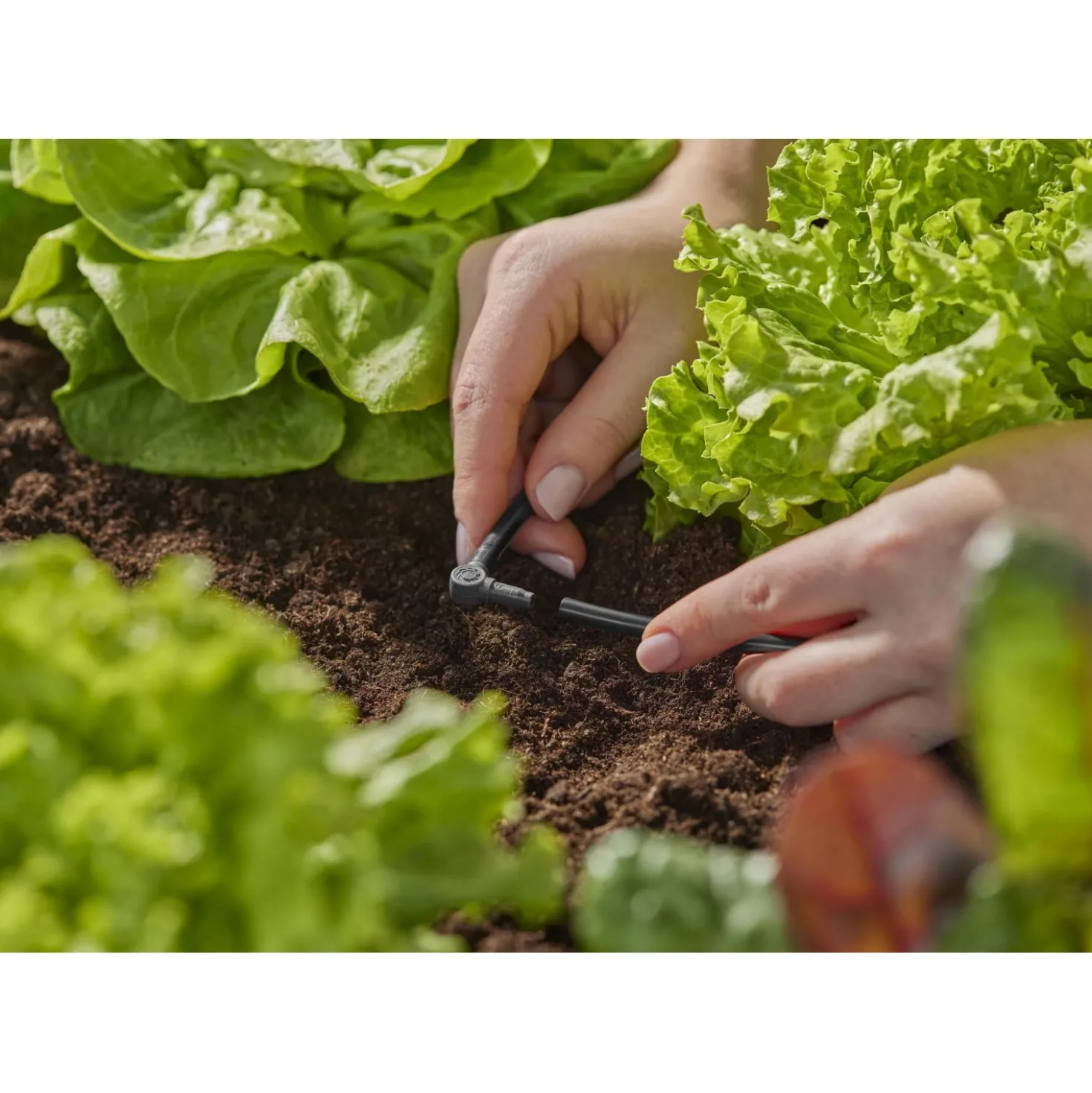 Tubo irrigazione di derivazione Micro-Drip-System Gardena 50 m 4,6 mm (3/16")