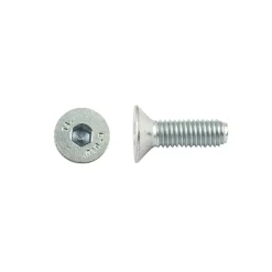 Vite per ferro zincata tps cava ES3 DIN7991 5x50 mm confez. 4 pz